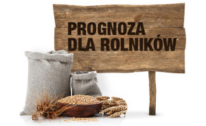Prognoza pogody dla rolników.