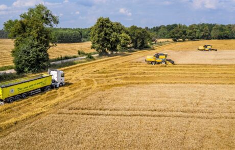 67453910_2477246255631561_3267971307639144448_o (1)