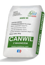 canvil